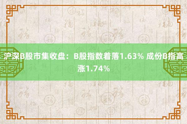 沪深B股市集收盘：B股指数着落1.63% 成份B指高涨1.74%